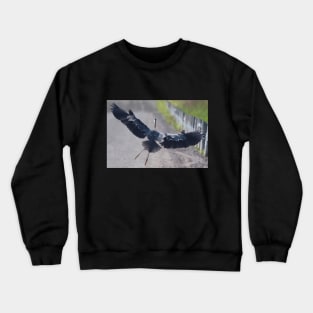 Great Blue Heron Having a Choppy Landing Crewneck Sweatshirt